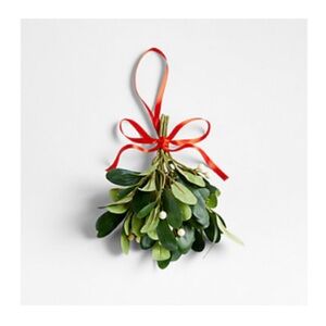 Crate & Barrel Faux Green Mistletoe set with Red Ribbon Accents- Set of 3